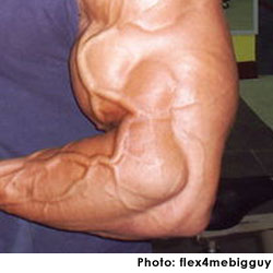 big vein Pulsating bicep picture